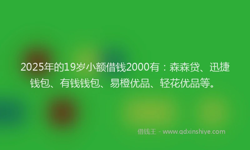 2025年的19岁小额借钱2000有：森森贷、迅捷钱包、有钱钱包、易橙优品、轻花优品等。