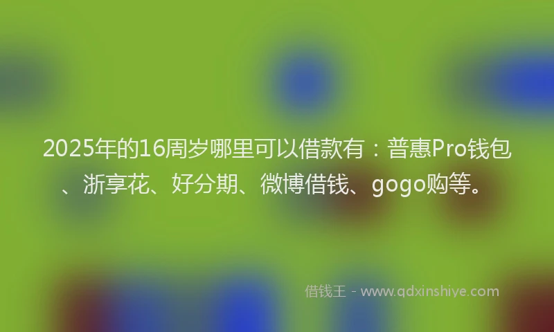 2025年的16周岁哪里可以借款有：普惠Pro钱包、浙享花、好分期、微博借钱、gogo购等。