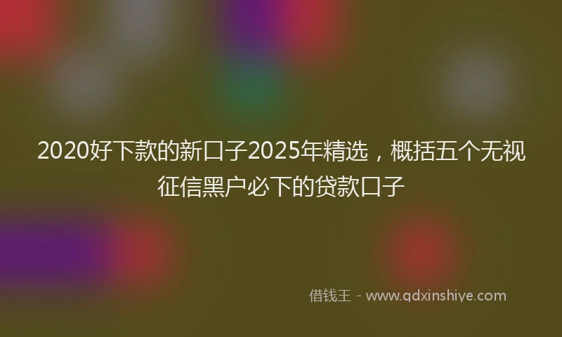 2020好下款的新口子2025年精选，概括五个无视征信黑户必下的贷款口子