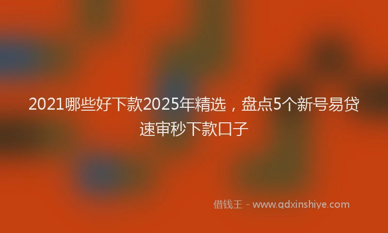 2021哪些好下款2025年精选，盘点5个新号易贷速审秒下款口子
