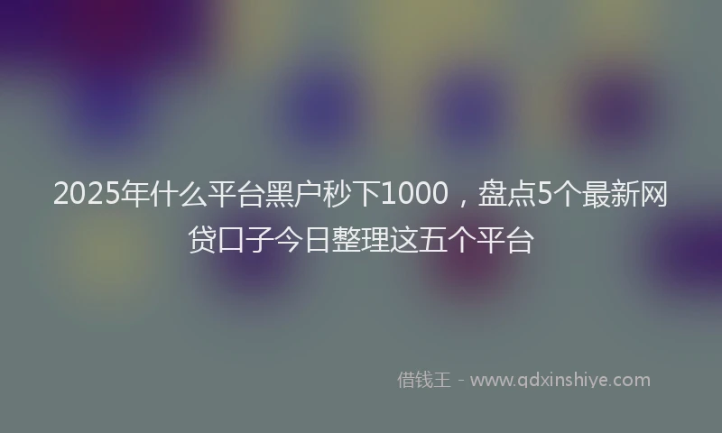 2025年什么平台黑户秒下1000，盘点5个最新网贷口子今日整理这五个平台