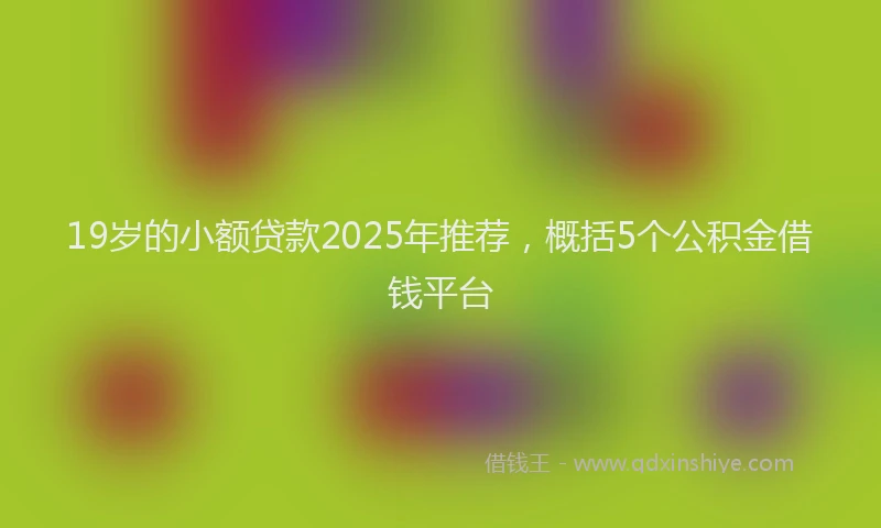 19岁的小额贷款2025年推荐，概括5个公积金借钱平台