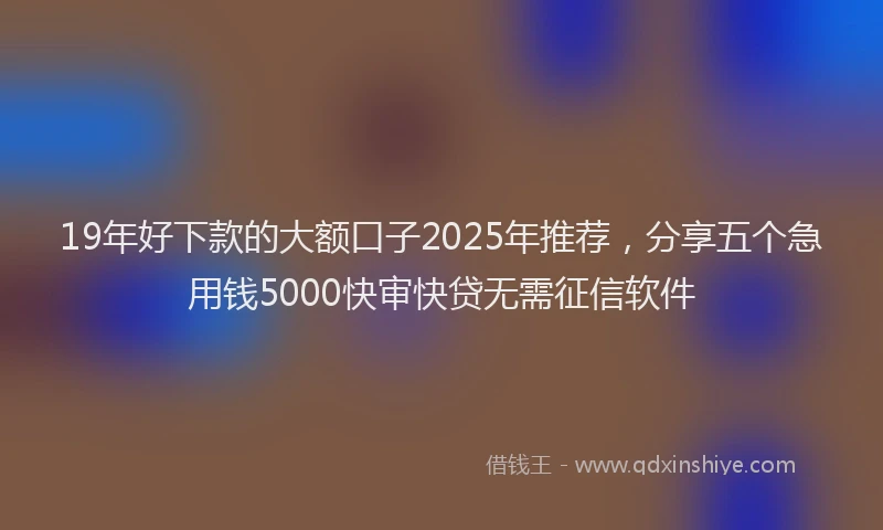 19年好下款的大额口子2025年推荐，分享五个急用钱5000快审快贷无需征信软件