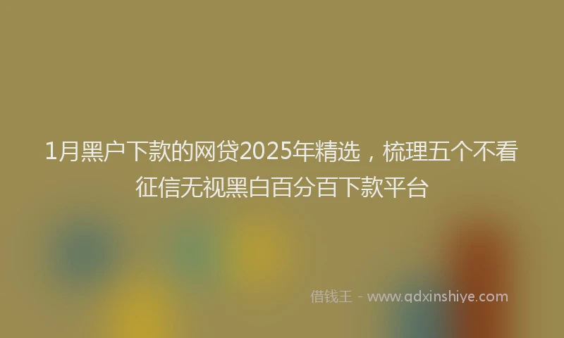 1月黑户下款的网贷2025年精选，梳理五个不看征信无视黑白百分百下款平台