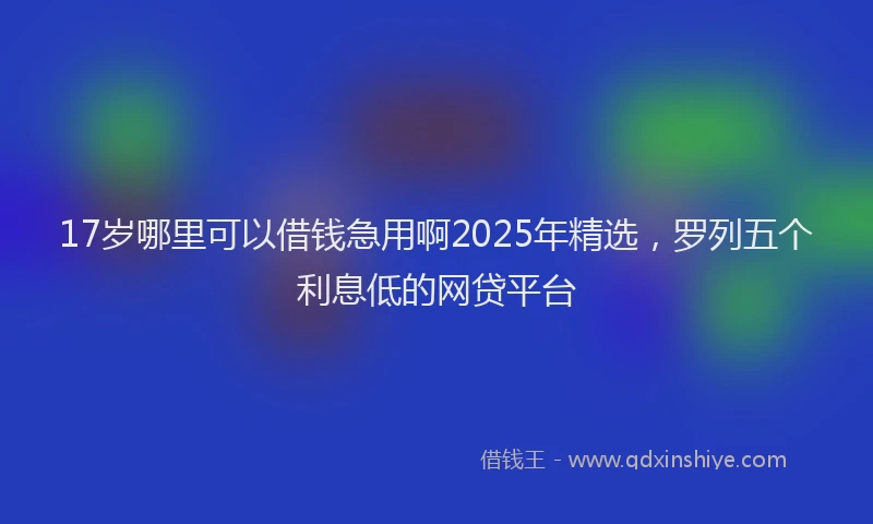 17岁哪里可以借钱急用啊2025年精选，罗列五个利息低的网贷平台