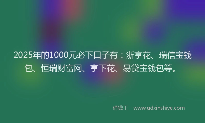 2025年的1000元必下口子有：浙享花、瑞信宝钱包、恒瑞财富网、享下花、易贷宝钱包等。