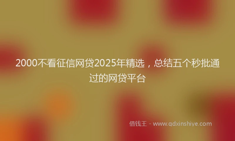 2000不看征信网贷2025年精选，总结五个秒批通过的网贷平台