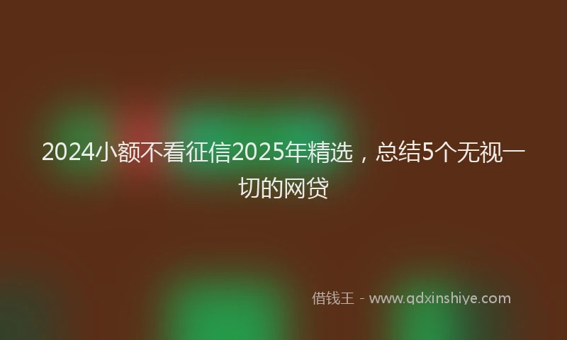 2024小额不看征信2025年精选，总结5个无视一切的网贷