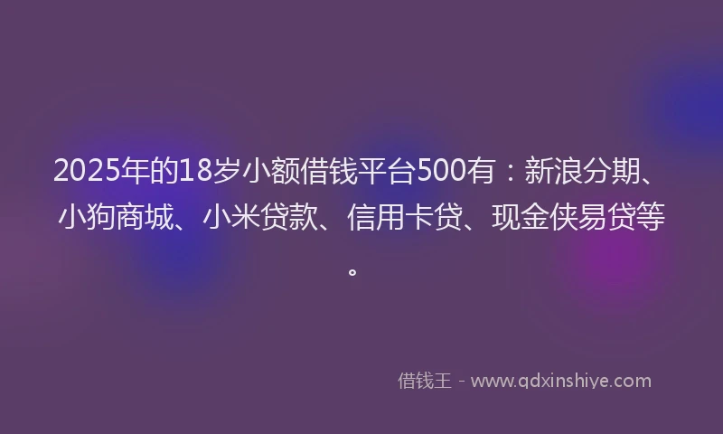 2025年的18岁小额借钱平台500有：新浪分期、小狗商城、小米贷款、信用卡贷、现金侠易贷等。