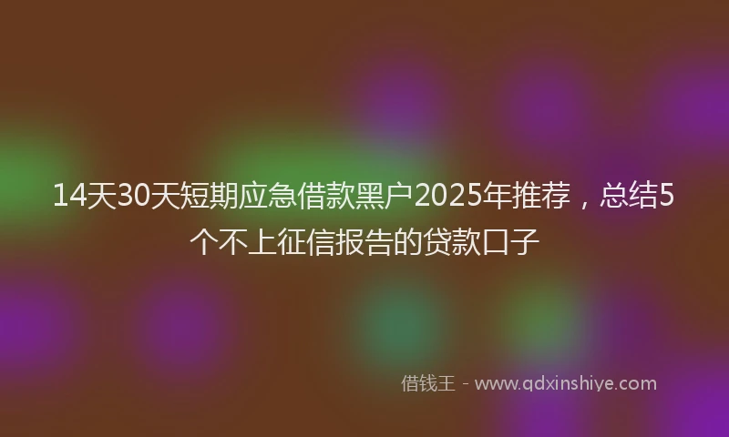 14天30天短期应急借款黑户2025年推荐，总结5个不上征信报告的贷款口子