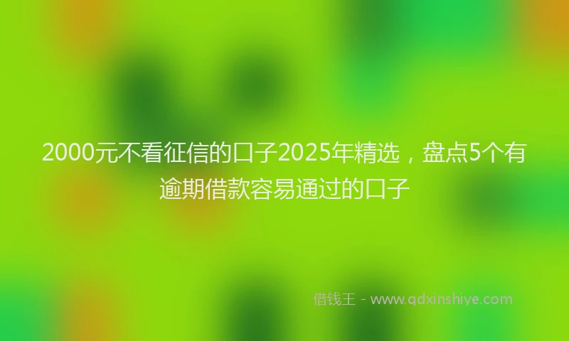 2000元不看征信的口子2025年精选，盘点5个有逾期借款容易通过的口子
