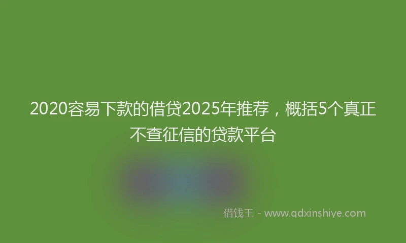2020容易下款的借贷2025年推荐，概括5个真正不查征信的贷款平台
