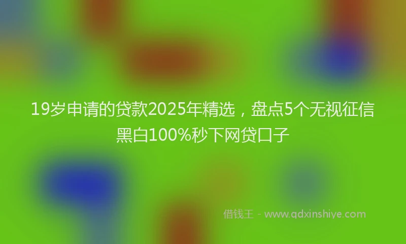 19岁申请的贷款2025年精选，盘点5个无视征信黑白100%秒下网贷口子