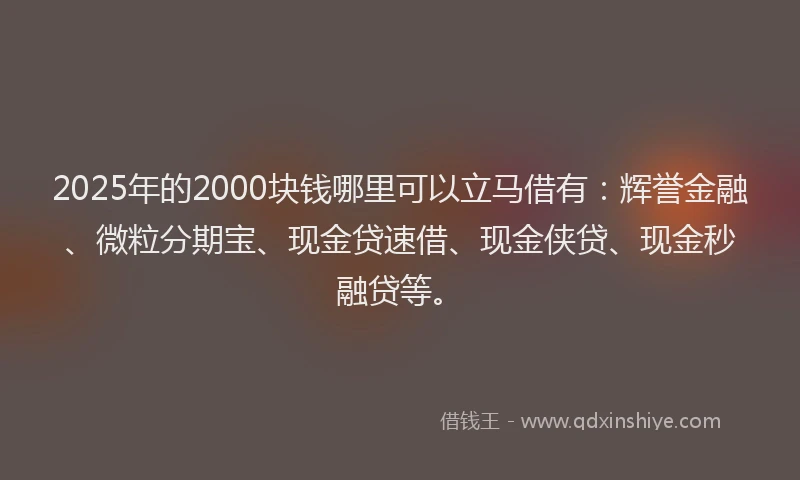 2025年的2000块钱哪里可以立马借有：辉誉金融、微粒分期宝、现金贷速借、现金侠贷、现金秒融贷等。