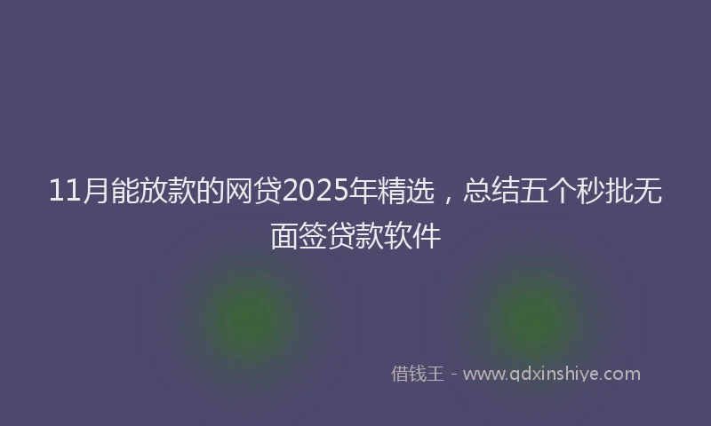 11月能放款的网贷2025年精选，总结五个秒批无面签贷款软件