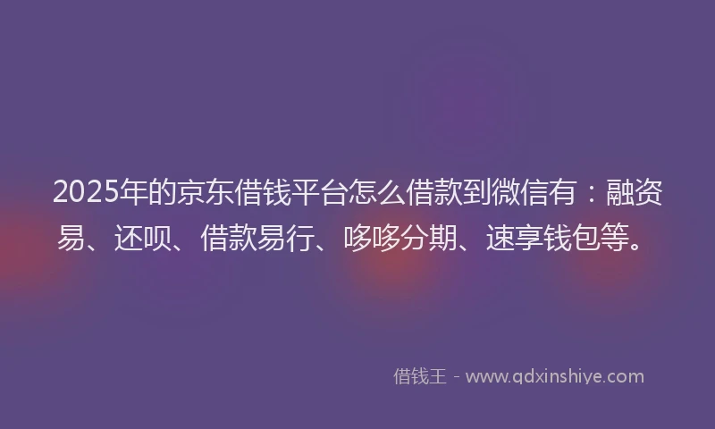 2025年的京东借钱平台怎么借款到微信有：融资易、还呗、借款易行、哆哆分期、速享钱包等。