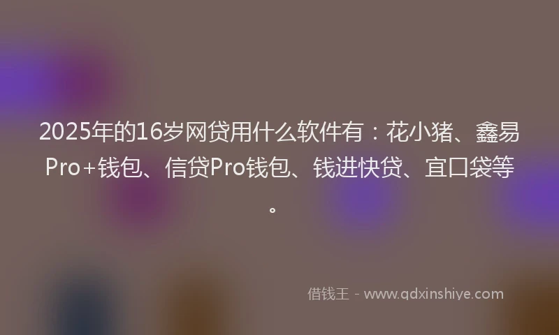 2025年的16岁网贷用什么软件有：花小猪、鑫易Pro+钱包、信贷Pro钱包、钱进快贷、宜口袋等。