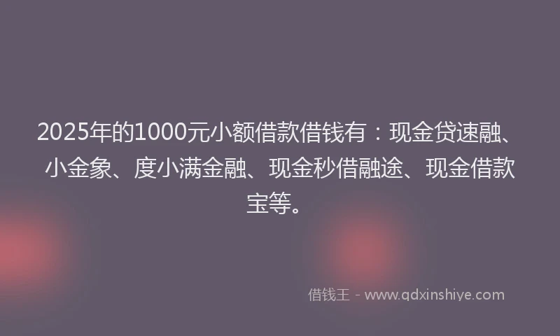 2025年的1000元小额借款借钱有：现金贷速融、小金象、度小满金融、现金秒借融途、现金借款宝等。