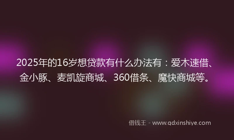 2025年的16岁想贷款有什么办法有：爱木速借、金小豚、麦凯旋商城、360借条、魔快商城等。