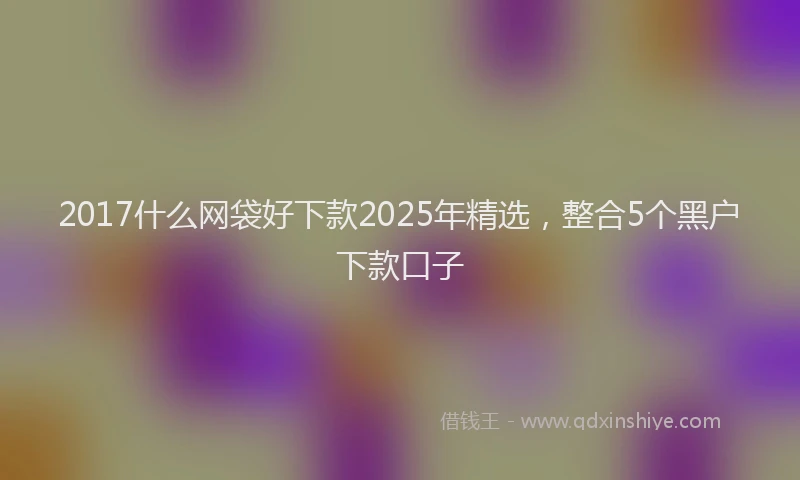2017什么网袋好下款2025年精选，整合5个黑户下款口子