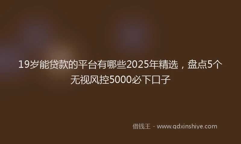 19岁能贷款的平台有哪些2025年精选，盘点5个无视风控5000必下口子