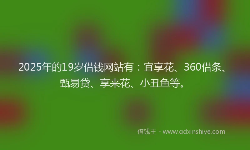 2025年的19岁借钱网站有：宜享花、360借条、甄易贷、享来花、小丑鱼等。