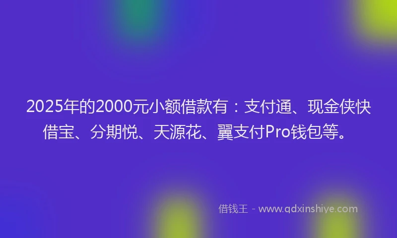 2025年的2000元小额借款有：支付通、现金侠快借宝、分期悦、天源花、翼支付Pro钱包等。