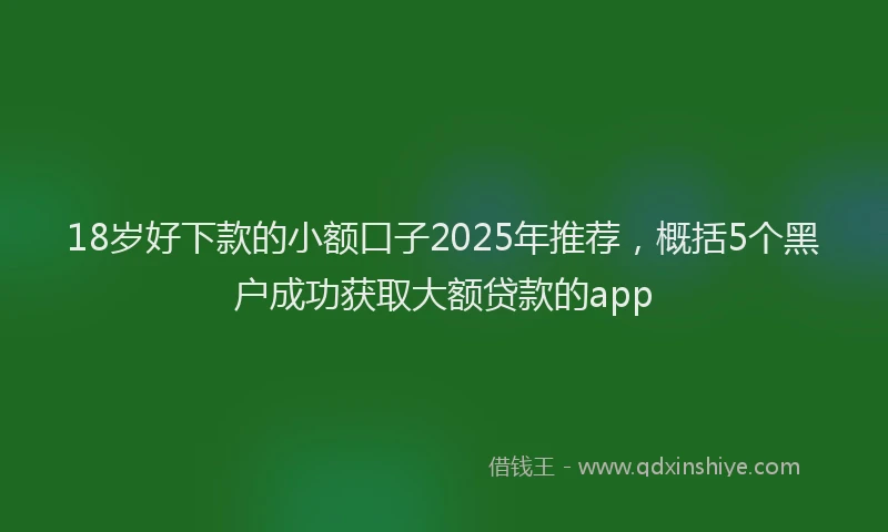 18岁好下款的小额口子2025年推荐，概括5个黑户成功获取大额贷款的app