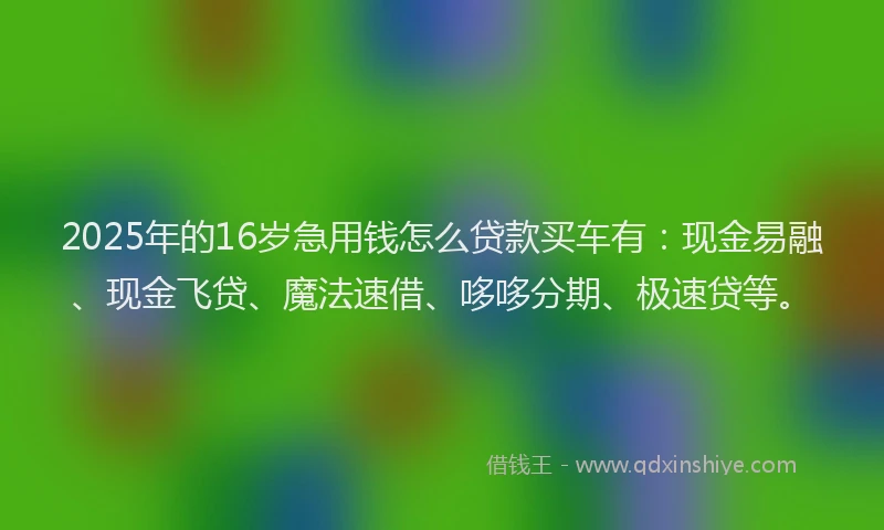 2025年的16岁急用钱怎么贷款买车有:现金易融、现金飞贷、魔法速借、哆哆分期、极速贷等。