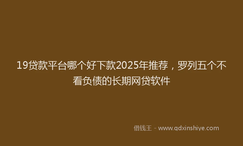 19贷款平台哪个好下款2025年推荐，罗列五个不看负债的长期网贷软件