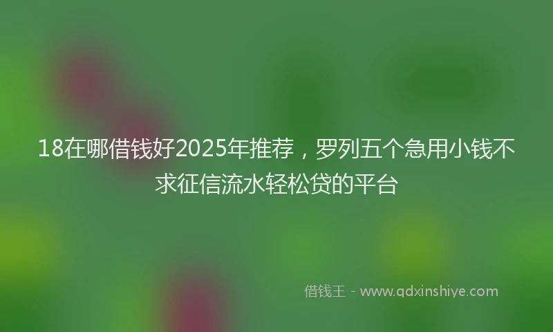 18在哪借钱好2025年推荐，罗列五个急用小钱不求征信流水轻松贷的平台