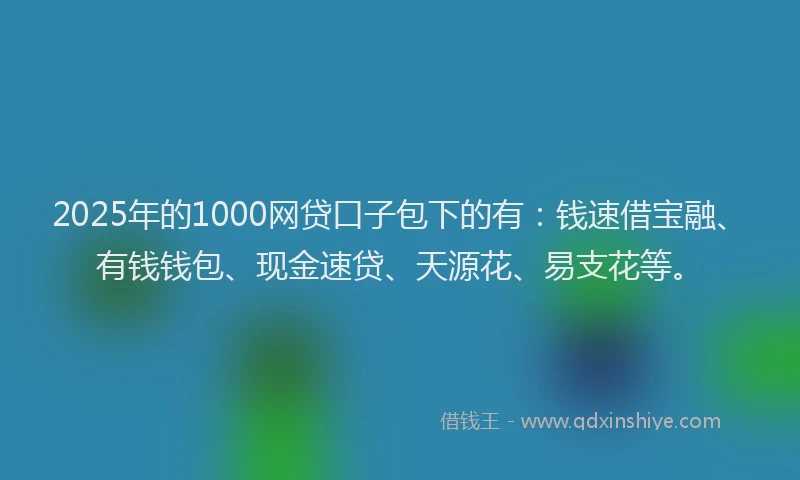 2025年的1000网贷口子包下的有：钱速借宝融、有钱钱包、现金速贷、天源花、易支花等。