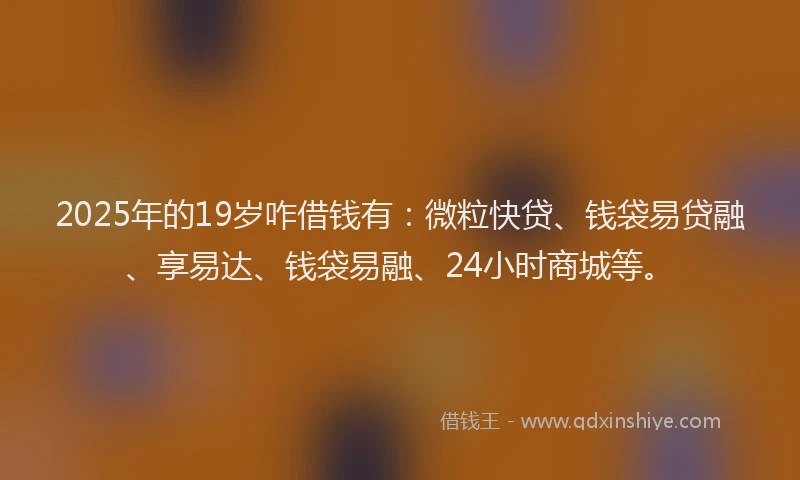 2025年的19岁咋借钱有：微粒快贷、钱袋易贷融、享易达、钱袋易融、24小时商城等。