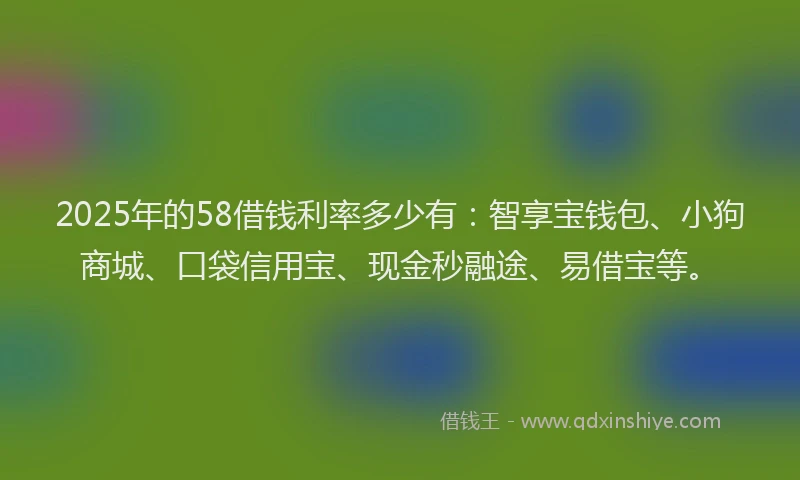2025年的58借钱利率多少有：智享宝钱包、小狗商城、口袋信用宝、现金秒融途、易借宝等。