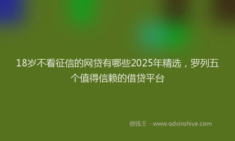 18岁不看征信的网贷有哪些2025年精选，罗列五个值得信赖的借贷平台