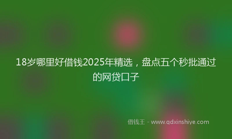18岁哪里好借钱2025年精选，盘点五个秒批通过的网贷口子
