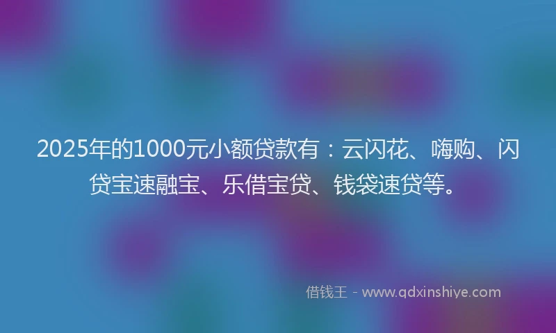2025年的1000元小额贷款有：云闪花、嗨购、闪贷宝速融宝、乐借宝贷、钱袋速贷等。
