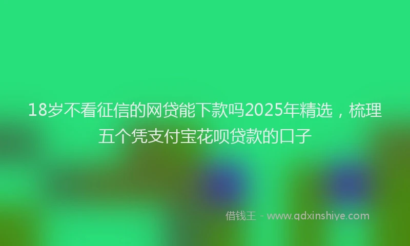 18岁不看征信的网贷能下款吗2025年精选，梳理五个凭支付宝花呗贷款的口子