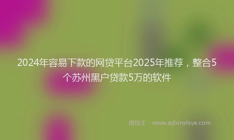 2024年容易下款的网贷平台2025年推荐，整合5个苏州黑户贷款5万的软件