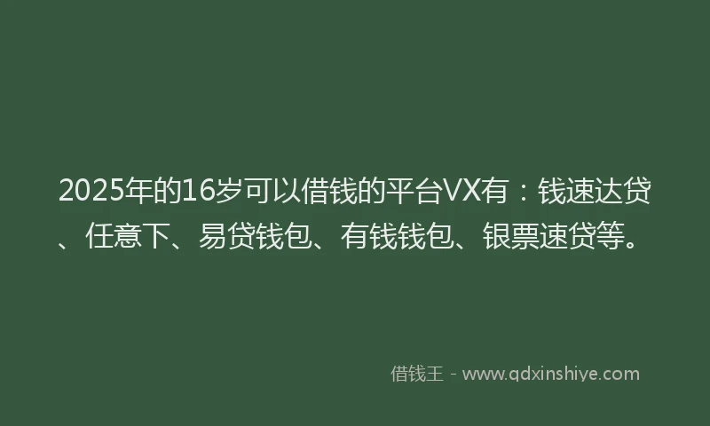 2025年的16岁可以借钱的平台VX有：钱速达贷、任意下、易贷钱包、有钱钱包、银票速贷等。