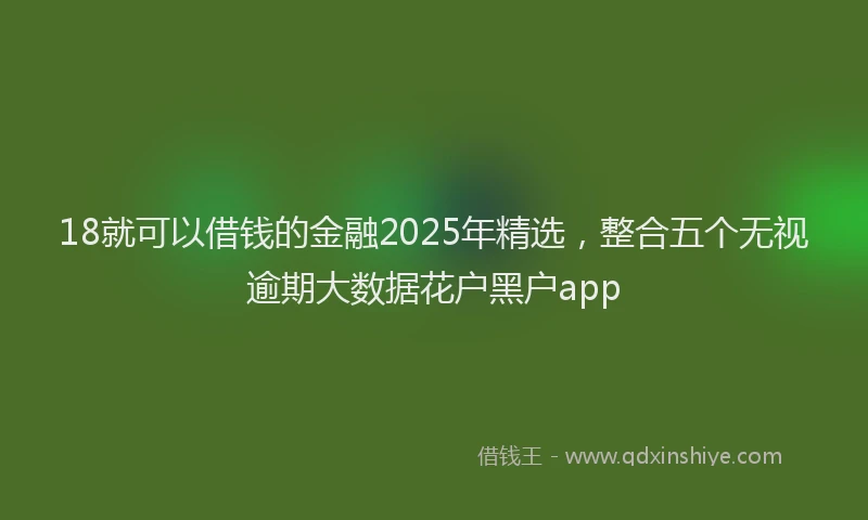 18就可以借钱的金融2025年精选，整合五个无视逾期大数据花户黑户app