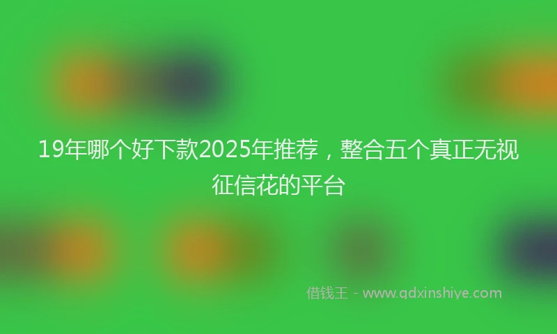 19年哪个好下款2025年推荐，整合五个真正无视征信花的平台