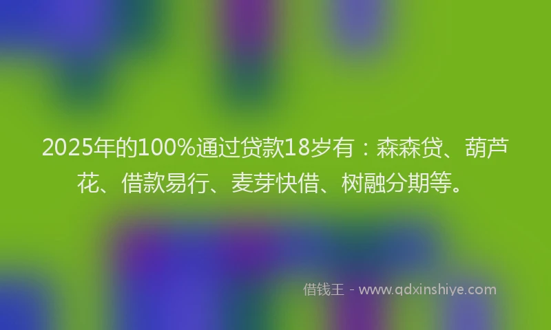 2025年的100%通过贷款18岁有：森森贷、葫芦花、借款易行、麦芽快借、树融分期等。