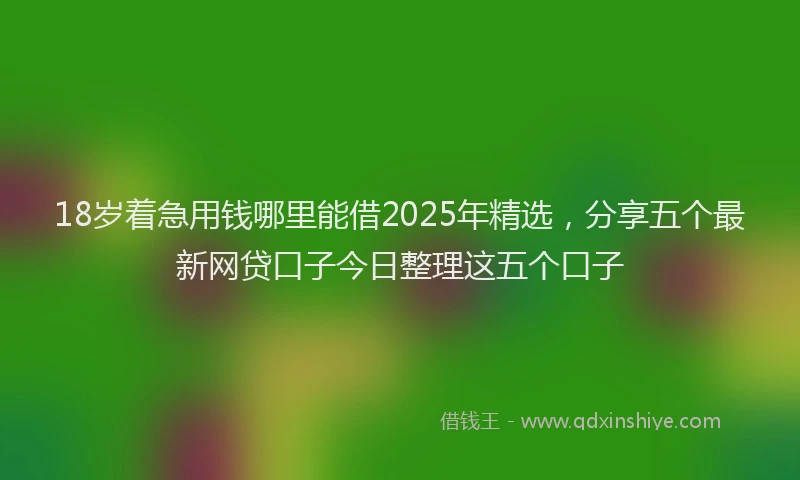 18岁着急用钱哪里能借2025年精选，分享五个最新网贷口子今日整理这五个口子