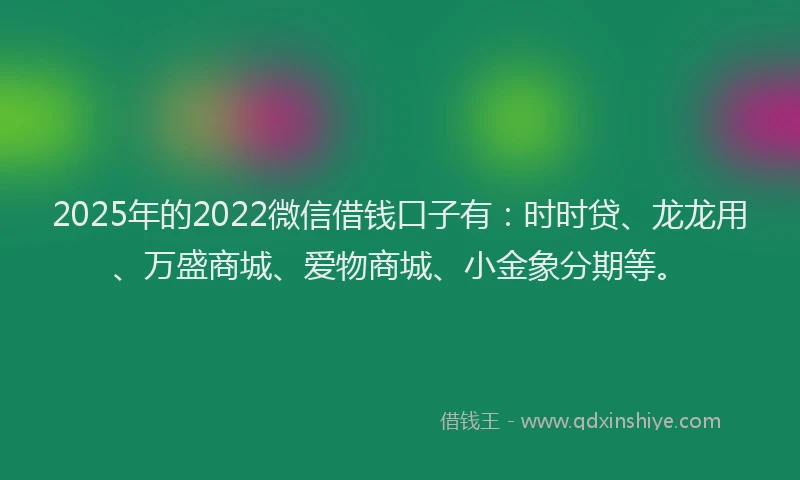 2025年的2022微信借钱口子有：时时贷、龙龙用、万盛商城、爱物商城、小金象分期等。