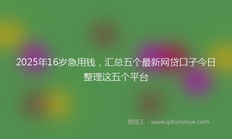 2025年16岁急用钱，汇总五个最新网贷口子今日整理这五个平台