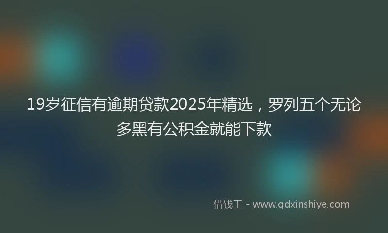 19岁征信有逾期贷款2025年精选，罗列五个无论多黑有公积金就能下款