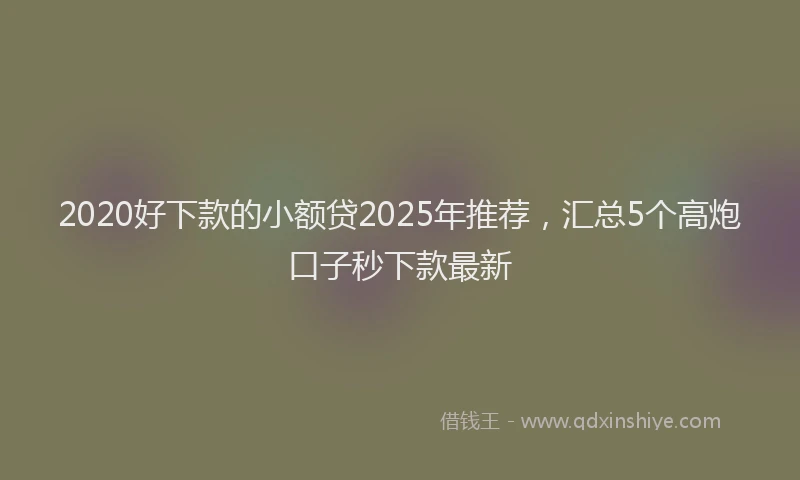 2020好下款的小额贷2025年推荐，汇总5个高炮口子秒下款最新