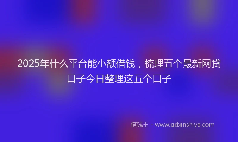 2025年什么平台能小额借钱，梳理五个最新网贷口子今日整理这五个口子