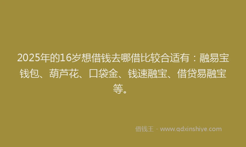 2025年的16岁想借钱去哪借比较合适有：融易宝钱包、葫芦花、口袋金、钱速融宝、借贷易融宝等。